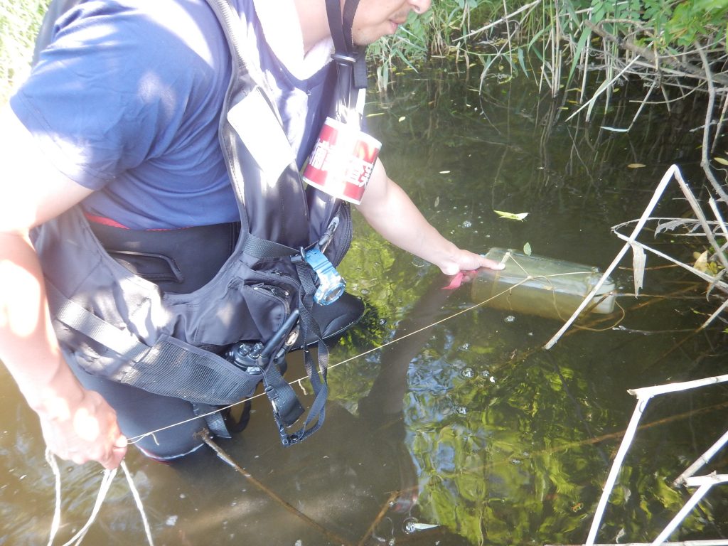 岩木川取水堰魚類調査の模様